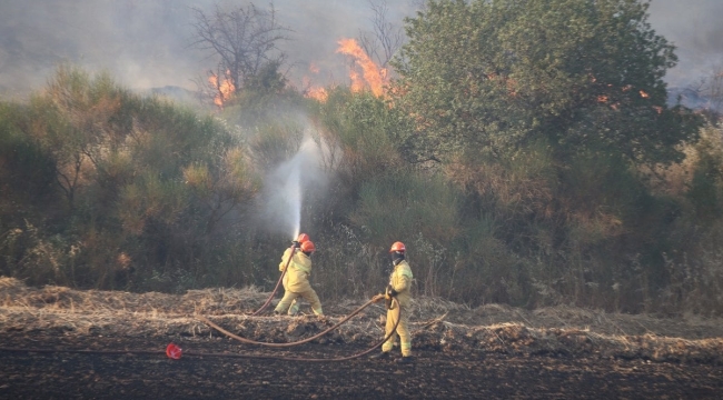 Çanakkale'de orman yangını 24 saatte söndürüldü