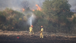 Çanakkale'de orman yangını 24 saatte söndürüldü