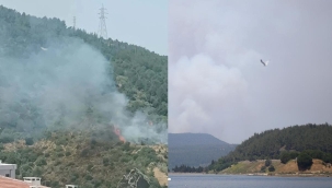 Çanakkale ve İzmir'de orman yangını