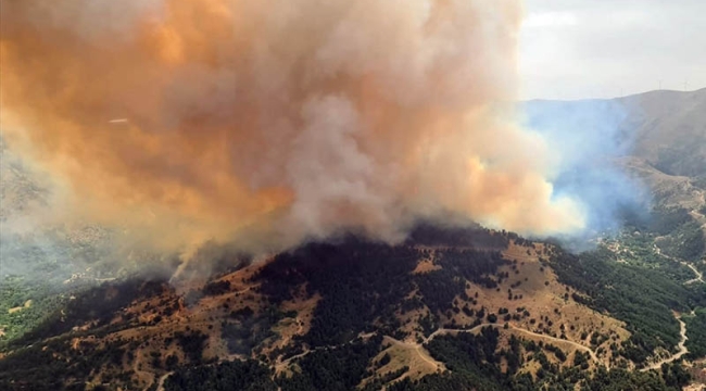 Denizli'nin 7 ilçesinde orman yangını