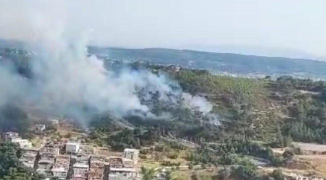 İzmir'in Bornova ilçesinde orman yangını