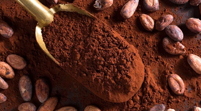 Kakao'nun ton fiyatı tekrar 10 bin $'a yaklaştı