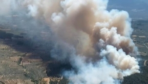 Manisa, İzmir ve Balıkesir'de orman yangını