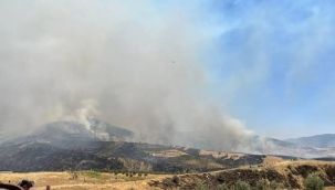 Manisa'nın Alaşehir ilçesinde otluk alanda yangın