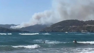 Marmaris'in Gölge Koyu mevkiinde orman yangını