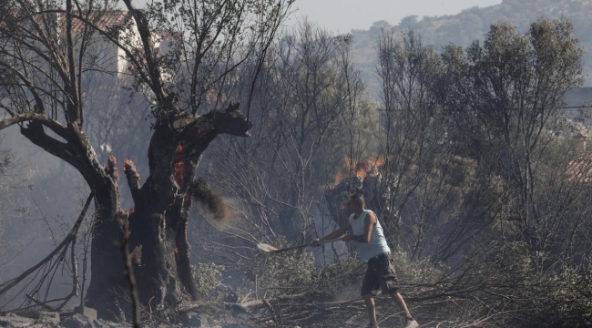 Mora Yarımadası'nda orman yangını: 1 kişi öldü