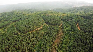 Şanlıurfa'da ormanlara giriş yasaklandı