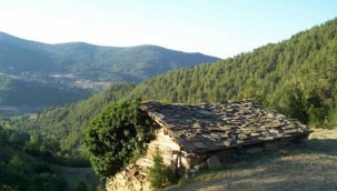 Sinop'ta ormanlık alanlara giriş yasaklandı