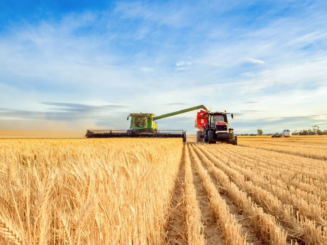 TÜİK'in iddiası: "Tarım-GFE Nisan'da yıllık %52 arttı"