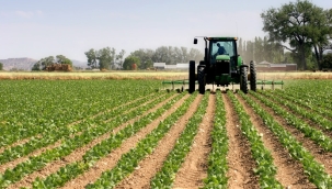 TÜİK'in iddiası: "Tarım-ÜFE, Mayıs'ta yıllık %61,24"