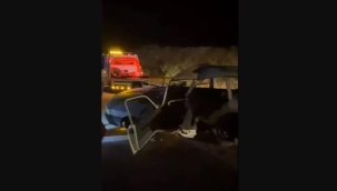 Adana'da iki otomobil çarpıştı: 1 ölü, 4 yaralı