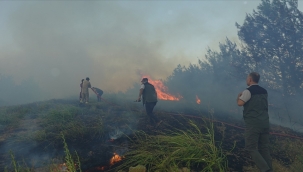 Adana'nın Kozan ilçesinde orman yangını