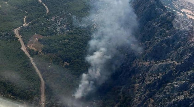 Antalya, İzmir ve Çanakkale'de orman yangını