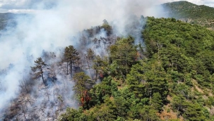 Balıkesir'in iki ilçesinde orman yangını