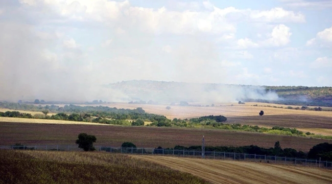 Bulgaristan'ın Türkiye sınırında orman yangını