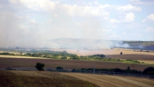 Bulgaristan'ın Türkiye sınırında orman yangını