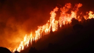 İtalya'nın Puglia bölgesinde orman yangını