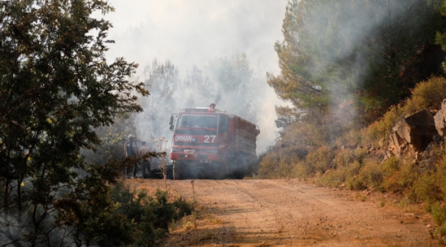 İzmir'in Bergama ilçesinde orman yangını