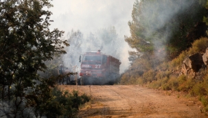 İzmir'in Bergama ilçesinde orman yangını
