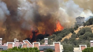 İzmir'in Dikili ilçesinde orman yangını