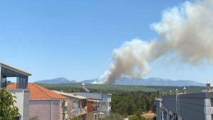 İzmir'in Gaziemir ilçesinde orman yangını