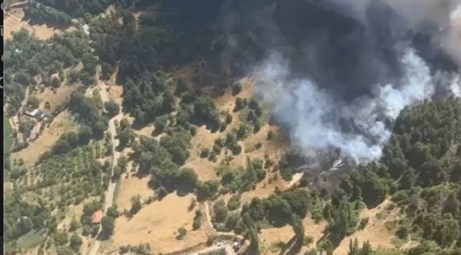 İzmir'in Ödemiş ilçesinde orman yangını