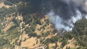 İzmir'in Ödemiş ilçesinde orman yangını