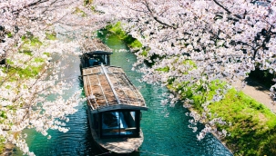 Japonya'nın nüfusu 15 yıldır sürekli düşüyor