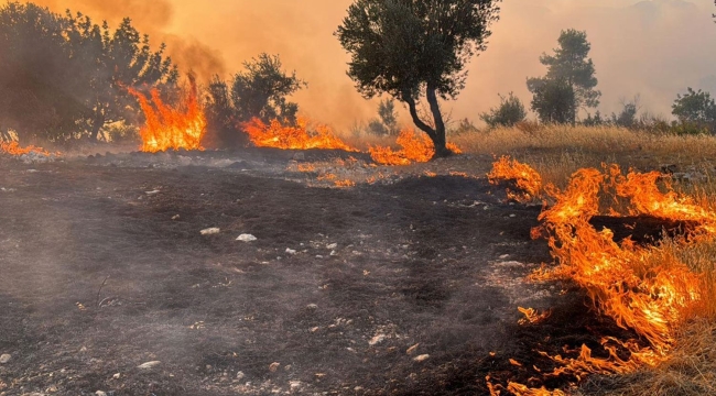 Kahramanmaraş ve Antalya'da orman yangını