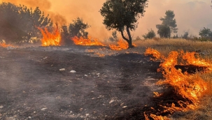 Kahramanmaraş ve Antalya'da orman yangını