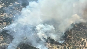 Manisa'nın Turgutlu ilçesinde orman yangını