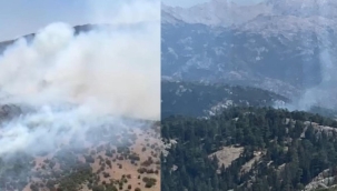 Manisa ve Antalya'da orman yangını