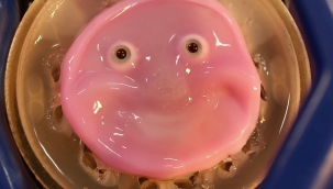 Robotlar için insan deri hücresinden yüz üretildi