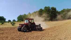 TÜİK'in iddiası: "Tarım-GFE Mayıs'ta yıllık %53 arttı"