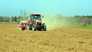 TÜİK'in iddiası: "Tarım-ÜFE, Haziran'da yıllık %54 arttı"