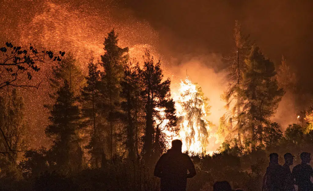 Yunanistan'da 24 saatte 52 orman yangını çıktı