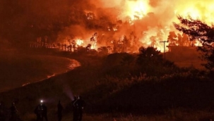 Yunanistan'da 24 saatte 45 noktada orman yangını