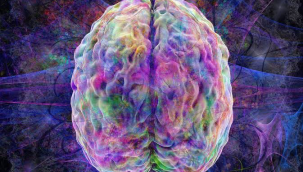 Beyin her anıyı üç kopya halinde saklıyor