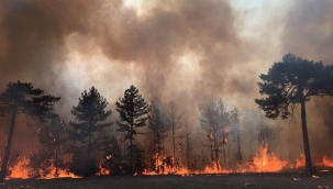Bolu orman yangını 72 saatte kontrol altına alındı