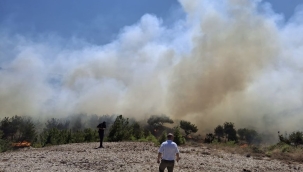 Bozcaada'da tarım arazisinde yangın