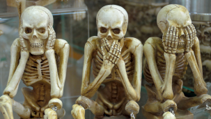 Çin'de kadavra hırsızı organize çete çökertildi