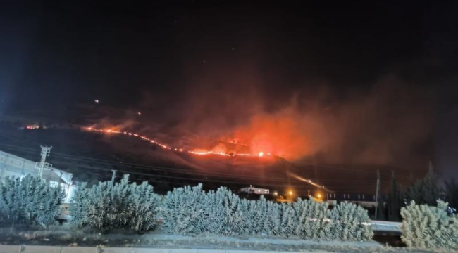 Hatay ve Bilecik'te orman yangını