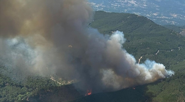 İzmir'in Bergama ilçesinde orman yangını