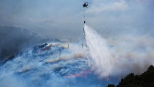 İzmir'in Karşıyaka ilçesinde orman yangını