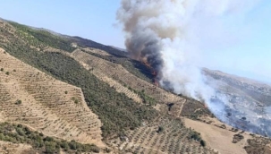 İzmir, Manisa, Yozgat ve Hatay'da orman yangını