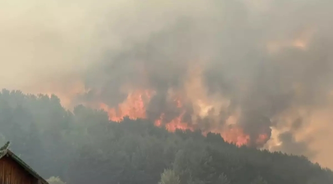Ankara'daki orman yangını Gerede'ye sıçradı