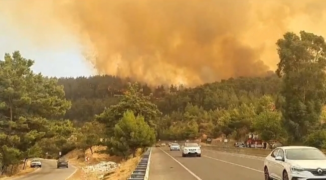 Muğla'nın Ula ve Yatağan ilçesinde orman yangını