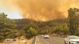 Muğla'nın Ula ve Yatağan ilçesinde orman yangını