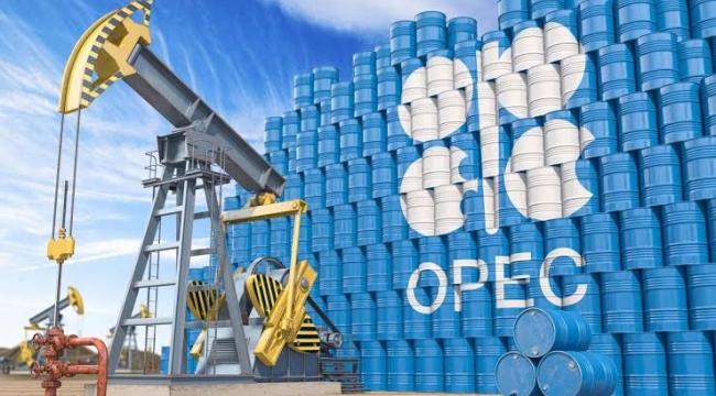 OPEC'in Temmuz üretimi günlük 185 bin varil arttı