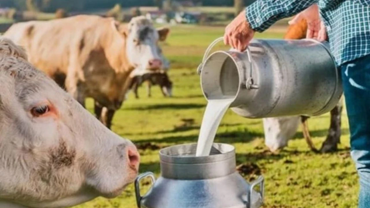 Süt sektöründe ithalata bağımlılık artıyor